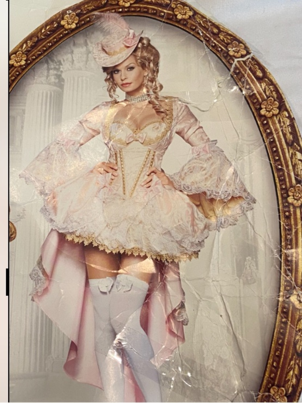 Vixen of Versailles Lace Corset  Dress with Petticoat, Brocade Hat & Gold Trim